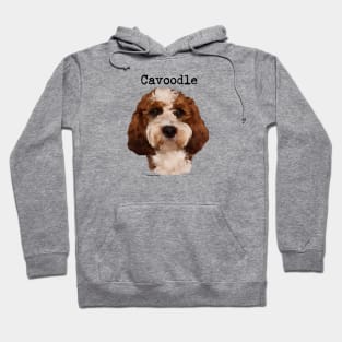 Red Cavoodle Dog Hoodie